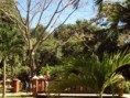 /album/galeria-de-fotos-galeria/ogaaalzrgksoyu9t7azez-bqx83ajhi-jpg/